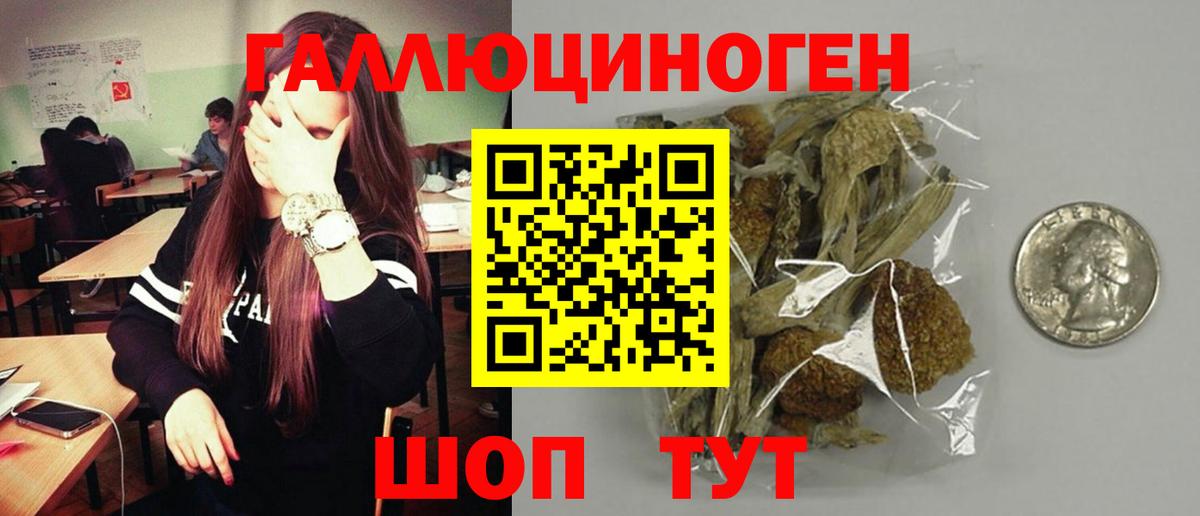 Псилоцибиновые грибы Psilocybe Тельмана